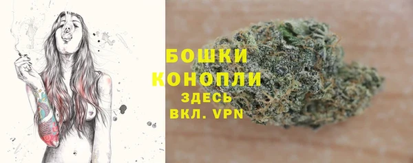 ECSTASY Богородицк